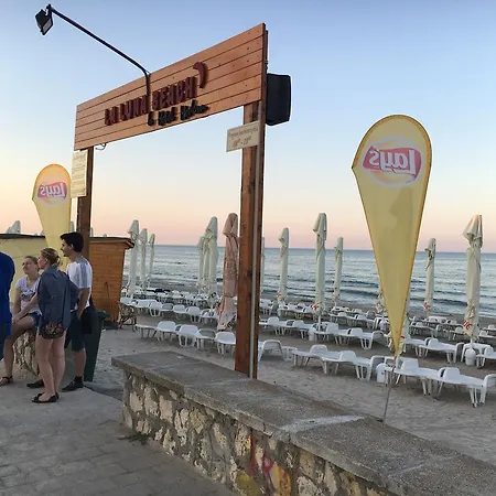 Ely Mamaia